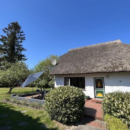 Ferienhaus Ilva In Born Villa Buitenkant foto