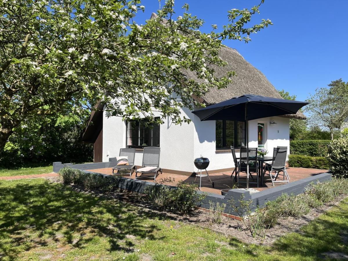 Ferienhaus Ilva In Born Villa Buitenkant foto